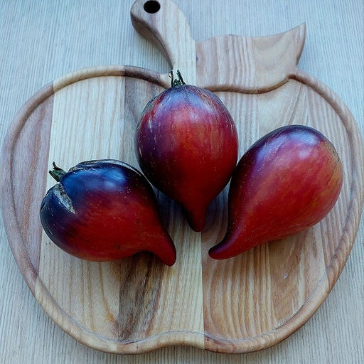 7054T Томат Огненная комета Софии 10шт