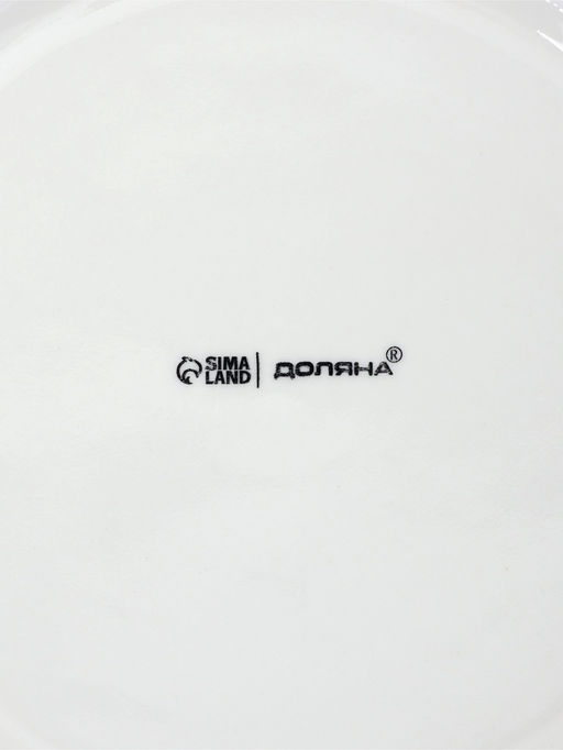 Тарелки обеденные Доляна White Label, набор 4 шт., d=25 см, утолщенный край, фарфор, белые