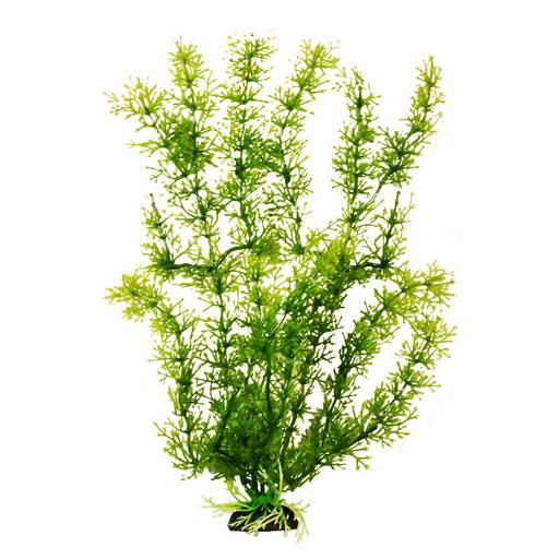 Растение Plant 024 Яванский мох ЗЕЛЕНЫЙ, 10см PLANT 024/10