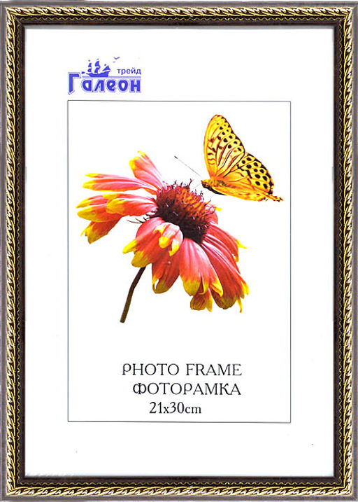 Фоторамка 21х30 / 1606C-017F1 /уп10 - ГалеонТрейд фото 3