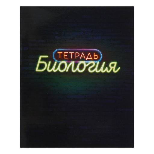 Набор предметных тетрадей Calligrata «Неон», 10 предметов, 48 листов, со справочным материалом, обложка из мелованного картона, УФ-лак, блок офсет