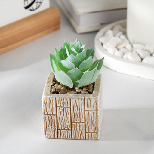 Цветочная композиция Кактус / WER-15 /уп 12/288/ микс - Галеонтрейд фото 4