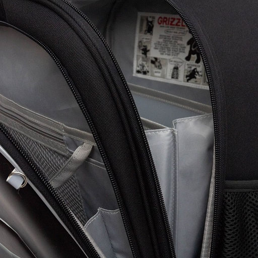 RAz-587-7 Рюкзак школьный - Grizzly фото 35