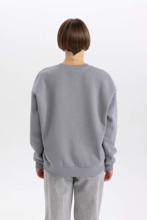 Плотный свитшот Relax Fit с круглым вырезом - Defacto фото 7