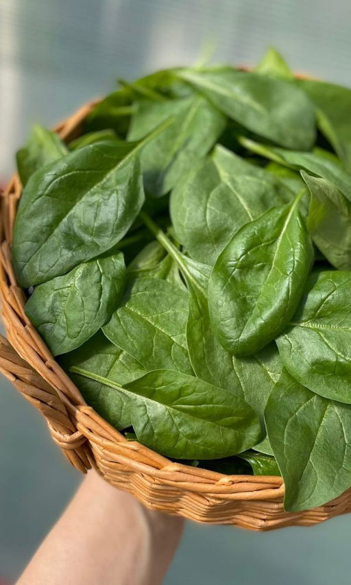 Шпинат ЗДОРОВЯК Отличные вкусовые качества! Высокое содержание витаминов! Для детского и диетического питания!