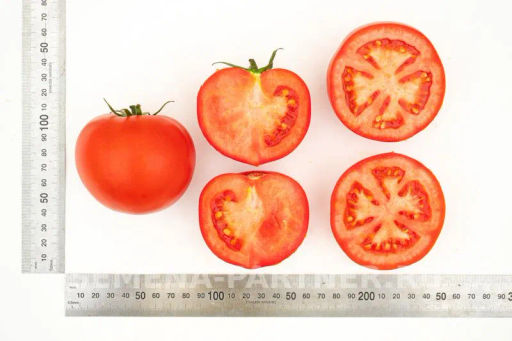 Томат Барика - Партнер фото 8