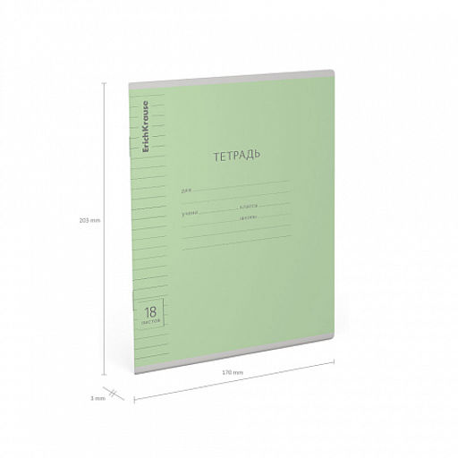 Цена за 200 шт. Тетрадь школьная ученическая ErichKrause Классика Visio зеленая, 18 листов, клетка (в плёнке по 10 шт.)  фото 31