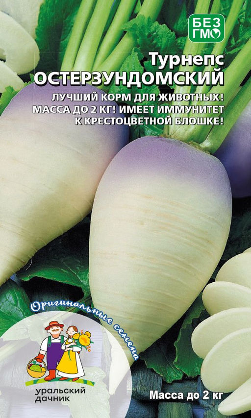 Турнепс ОСТЕРЗУНДОМСКИЙ Лучший корм для животных! Масса до 2 кг! Имеет иммунитет к крестоцветной блошке!