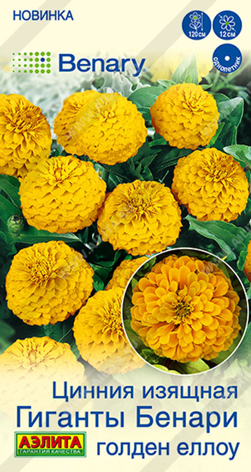 2031A Цинния Гиганты Бенари голден еллоу 7шт