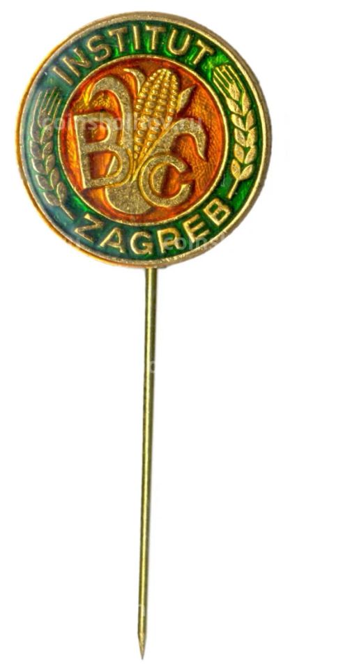 Значок Загреб институт