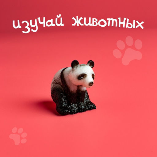 Набор фигурок животных Удивительный мир, 12 предметов - Simaland фото 6