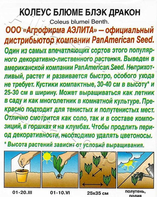 Колеус блюме Блэк дракон 5шт. (Аэлита)