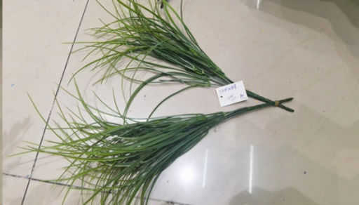 Зелень искусственная Осока 45 см / ZJ3164 /уп 2/400/1500/ - Галеонтрейд фото 6