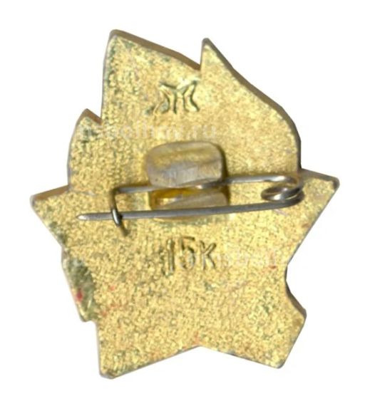 Значок Всегда Готов!