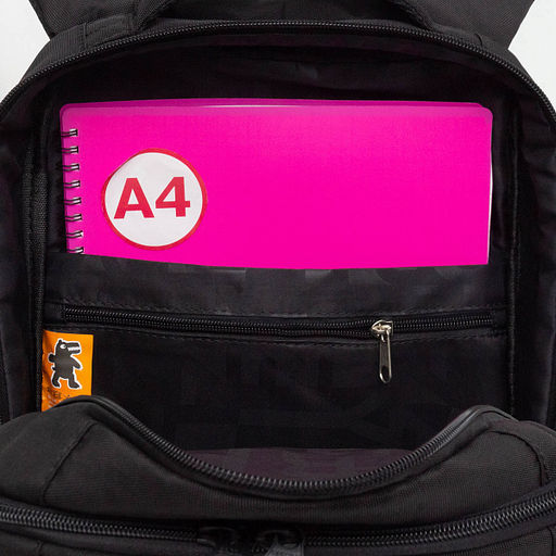 RB-456-2 Рюкзак школьный