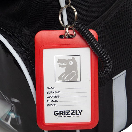 RAm-585-1 Рюкзак школьный с мешком - Grizzly фото 27