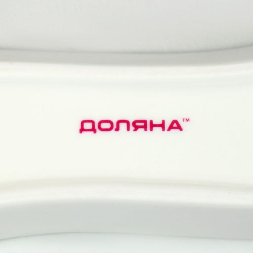 Блюдо для оливок/солений Доляна «Зелёный сад», 20×5×3.5 см, фарфор, белое