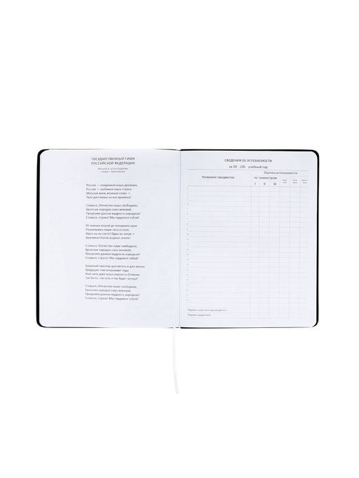 Дневник школьный 1-11 класс, deVENTE. Realistic, искусственная кожа, шелкография