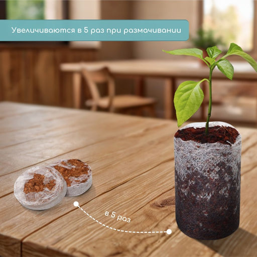 Цена за 2 шт. Таблетки кокосовые, для рассады, d=4 см, с оболочкой, набор 6 шт., Greengo фото 3