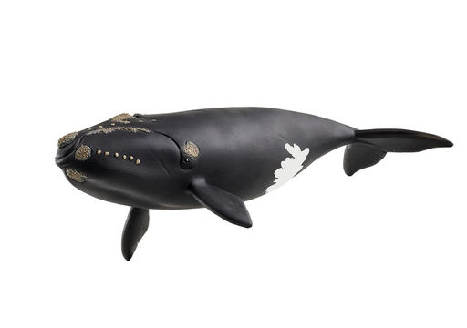 Schleich. Фигурка арт.14878 "Североатлантический правый кит"