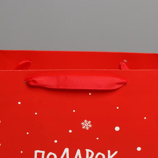 Пакет подарочный новогодний ламинированный «Подарок от Деда Мороза», L 31×40×11.5 см