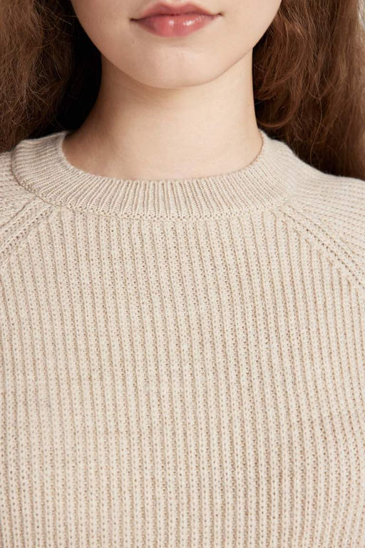 Крутой свитер стандартной посадки с круглым вырезом - Defacto фото 5