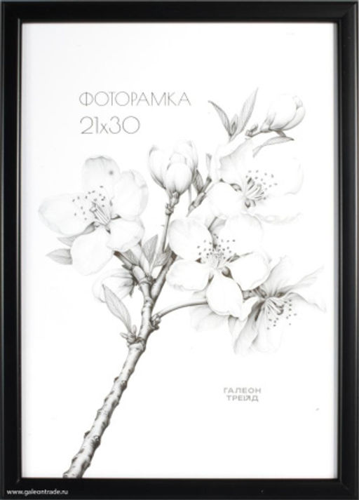 Фоторамка 21x30 /1503-014/,ф