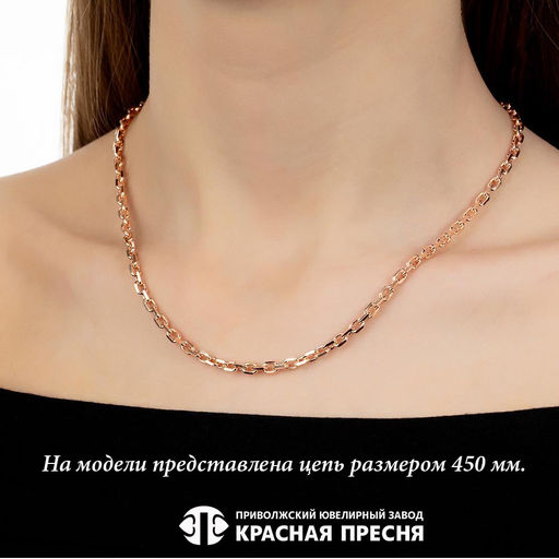 ЦЕПЬ ЯКГ12р - Красная пресня фото 2
