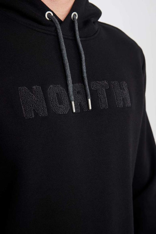 Толстовка обычного кроя с капюшоном и мягкой подкладкой с текстовым принтом - Defacto фото 6