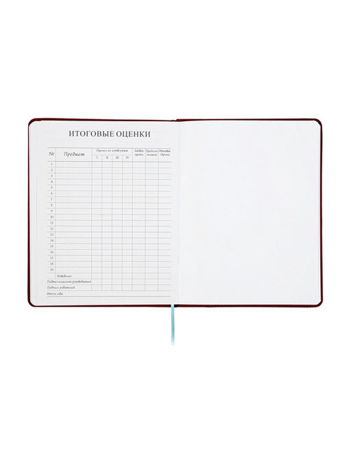 Дневник школьный 1-11 класс, ляссе, обложка искусственная кожа, с хлястиком, коричневый