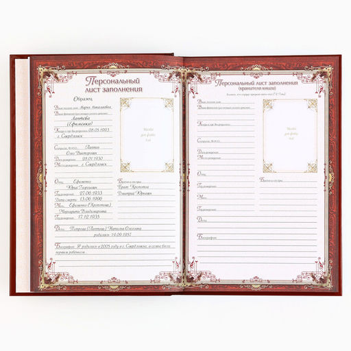 Родословная книга новогодняя «Дед Мороз» 17×2×23.7 см