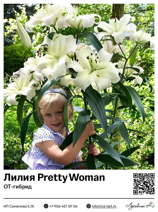 Лилия Pretty Woman (ОТ-гибрид)