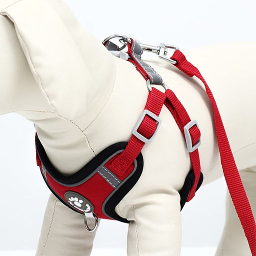 Комплект Sport+, М, поводок 120 x 1,5 см, ОШ 44-48 см, ОГ 51-60 см, вес животного 14-20 кг, красный - Пижон фото 6