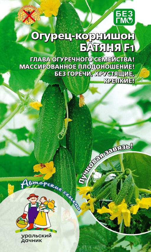 Огурец БАТЯНЯ F1 Глава огуречного семейства! Массированное плодоношение! Без горечи, хрустящие, крепкие!