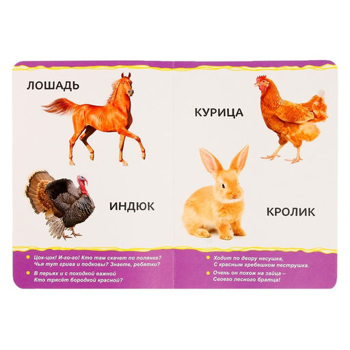 Книжка картонная Домашние животные 10 стр., МИКС - Буква-ленд фото 3