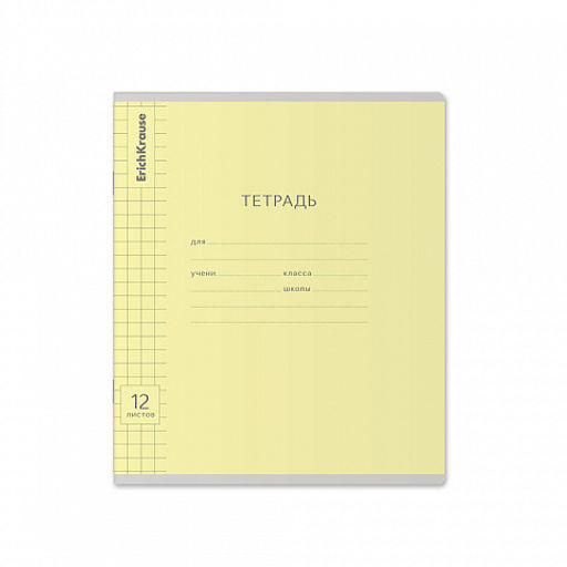 Цена за 280 шт. Тетрадь школьная ученическая ErichKrause Классика Visio ассорти, 12 листов, частая косая линейка (в плёнке по 10 шт.) фото 27