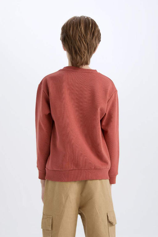 Толстовка обычного кроя с круглым вырезом и принтом на мягкой подкладке для мальчиков - Defacto фото 6