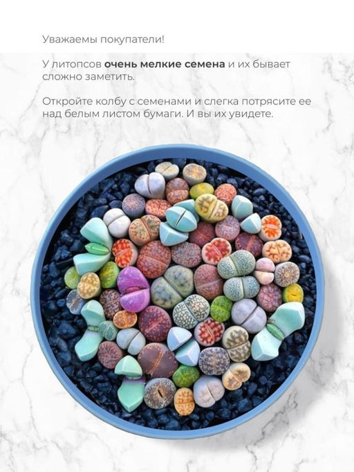 Набор д/выращивания "Магия цветов", "Литопсы микс (живые камни)"