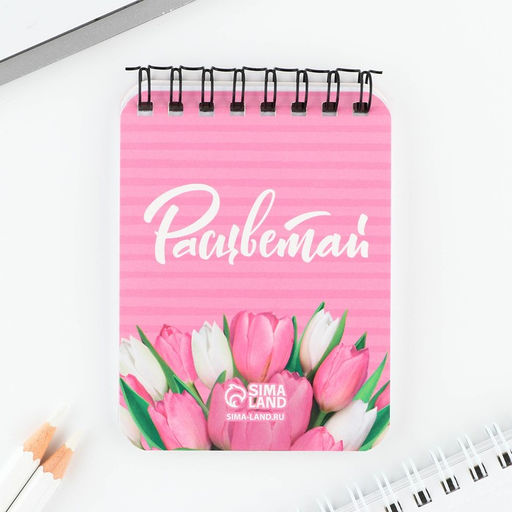 Подарочный набор, блокнот и ручка Сияй ярче всех! - Artfox фото 3