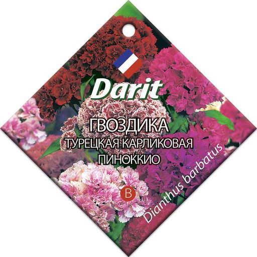 Гвоздика турецкая карликовая Пиноккио 0,3г (Дарит)