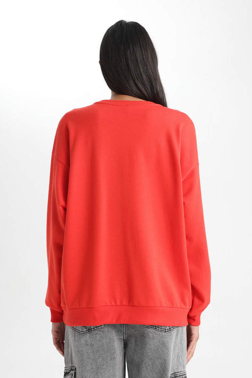 Тонкий свитшот Relax Fit с круглым вырезом - Defacto фото 6