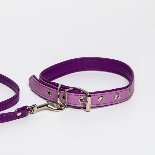 Комплект ошейник (58х2.5 см) и поводок (130х1.4 см) из экокожи, сиреневый с фиолетовым - Пушистое счастье фото 4