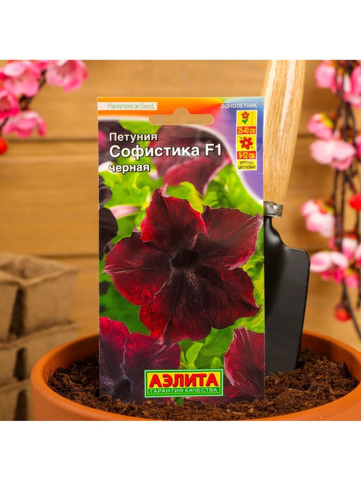 Набор семян Петуния «Софистика», черная, F1, крупноцветковая, 4 шт., 2 шт., «Мой выбор»