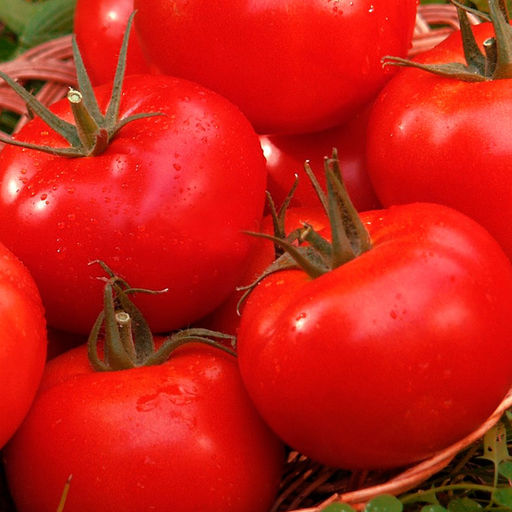 6239U Томат Маргарита блюз F1 5шт