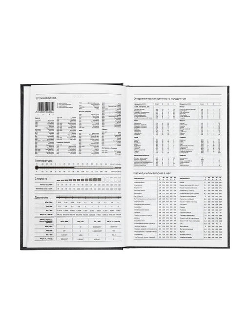 Ежедневник датированный Calligrata, А5, 2026, твёрдая обложка из бумвинила, 168 листов, чёрный