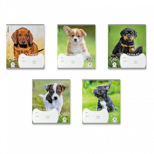 Цена за 10 шт. Тетрадь школьная ученическая ErichKrause Щенки, 12 листов, клетка (в плёнке по 10 шт.)_MIX-PACK  фото 2