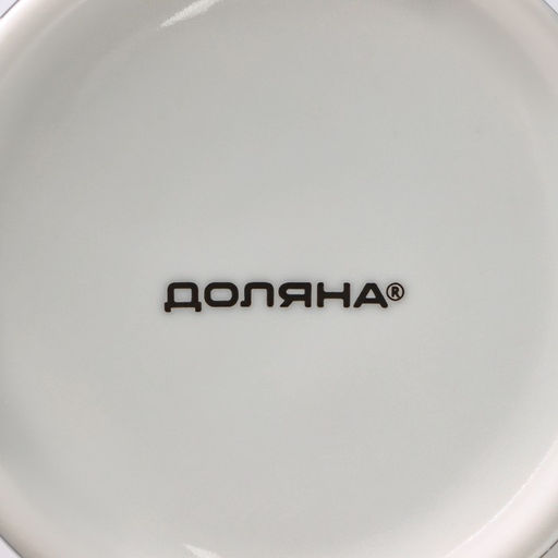 Кружка Доляна «Кошачьи будни», 300 мл, фарфор, белая