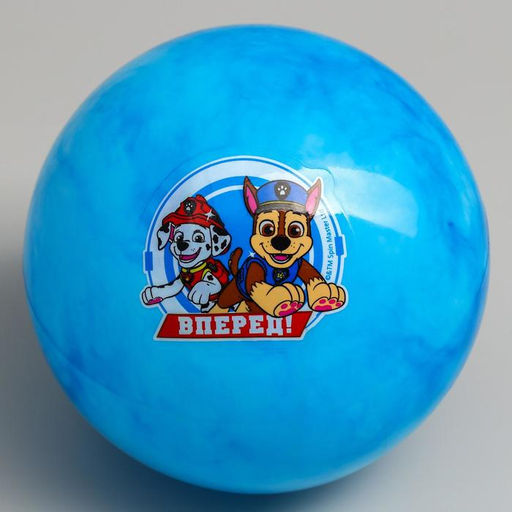 Мяч детский Paw Patrol Вперед, 16 см, 50 г, мрамор, МИКС  фото 2