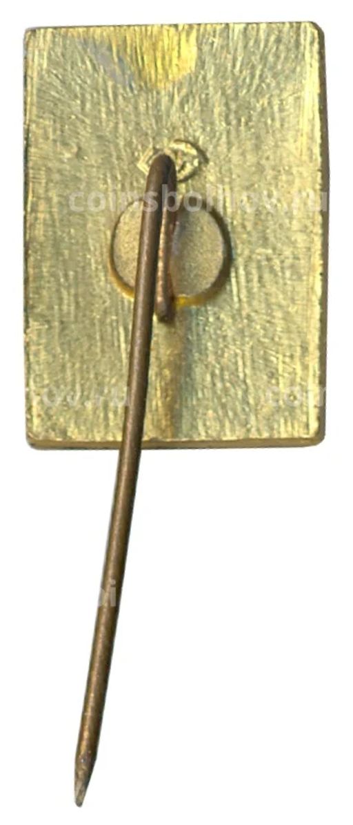 Значок Друскининкай