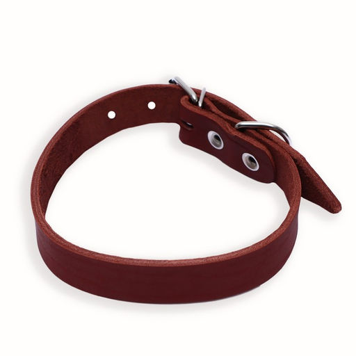 Ошейник кожаный однослойный, 54 х 2,5 см, ОШ 35-45 см, коричневый - Пижон фото 2